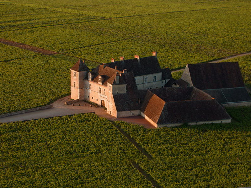 Le clos de Vougeot